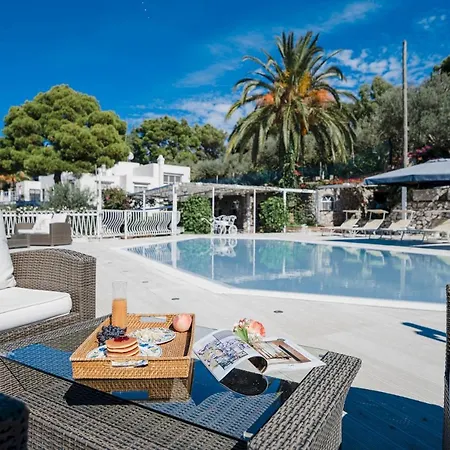 Hotel Paradiso By Elite 4*